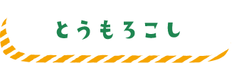 とうもろこし